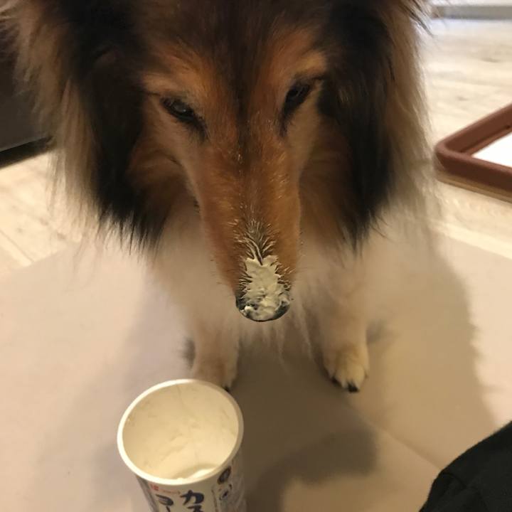 Ee959808 117b 43d9 9972 d0ec69e3b3f3