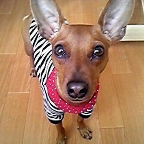 Ee95f453 7e7f 469e ac17 9a9b93bf132a