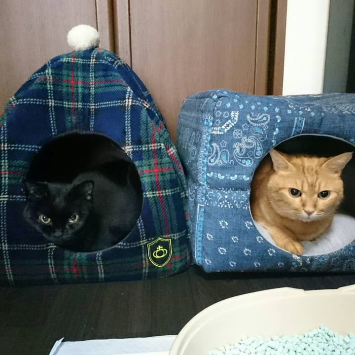 Ee96033d 9805 42db 9d5f 2469dfd18dc9