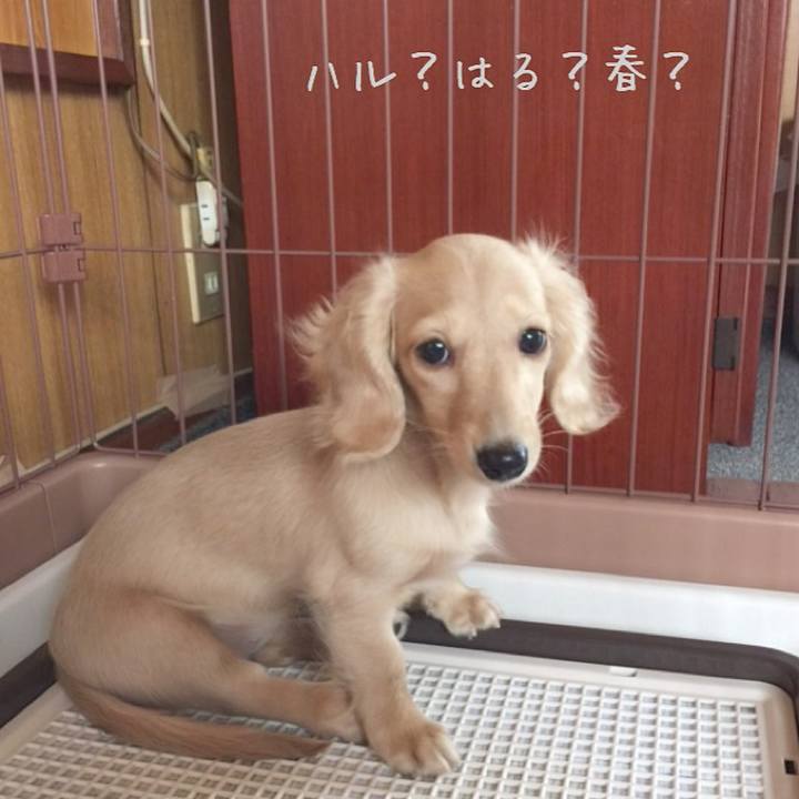 Ee963703 93c2 4f7f 86f8 fbb67e6db6e8