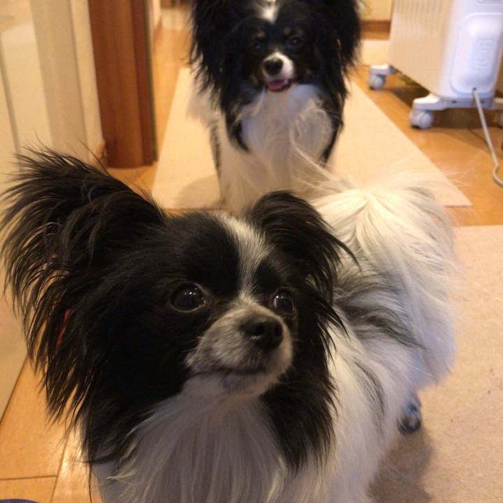 Ee9681f3 4063 4469 857f 9f975f7df0c5