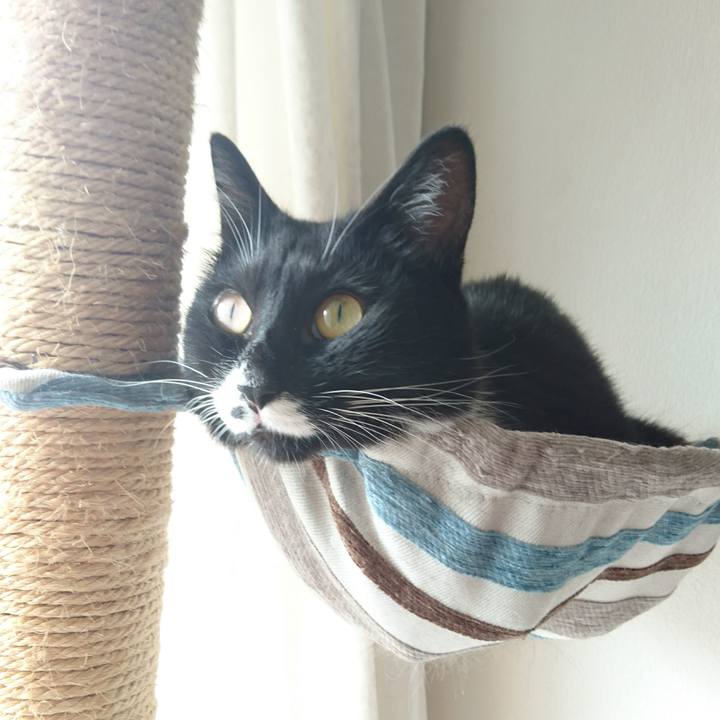 Ee971624 a223 46d8 86c1 7173dc3ef8c0