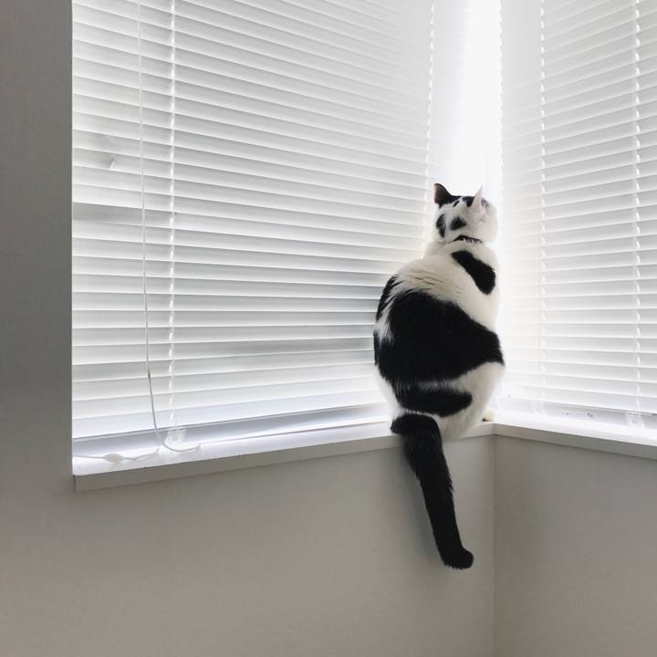 Ee973ef1 f0ef 42a9 8fb9 6f2fd68350c4