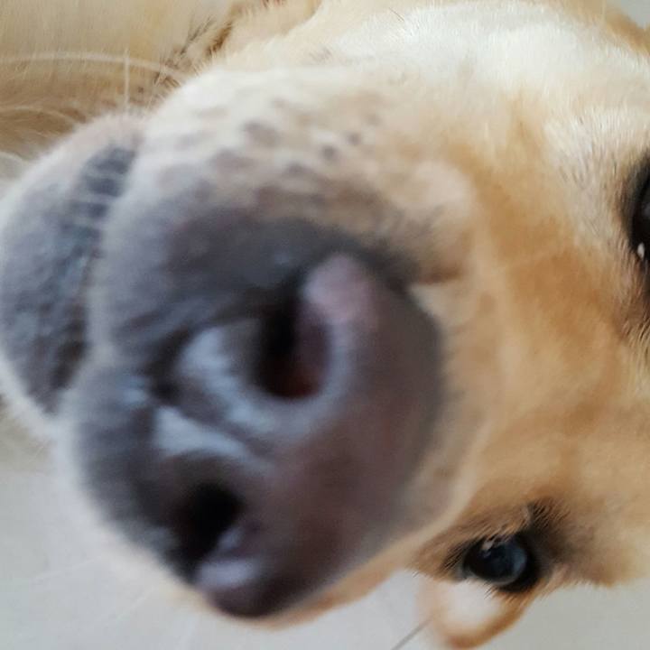 Ee97676a 2a3d 4b64 b98b 523c719101c9