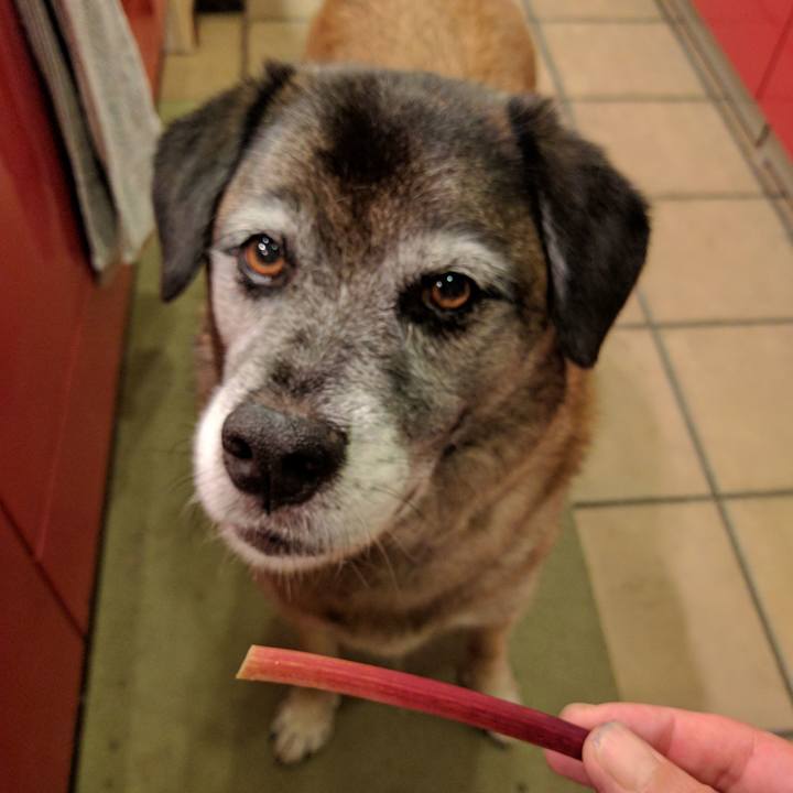 Ee977faa cdc3 41ab 83d4 dc59d765790a