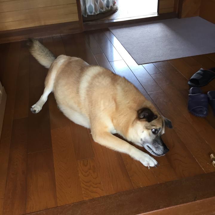 Ee97e5df 710d 40a9 96d8 908d74c05eb5