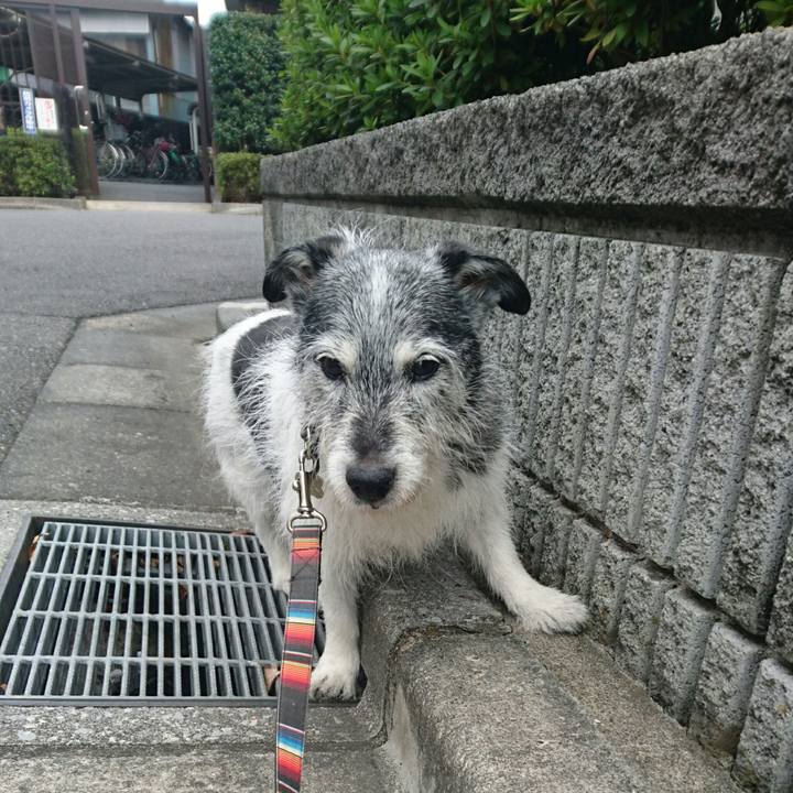 Ee97f84b e1ae 42ce bbbb 7c06c6b597ca