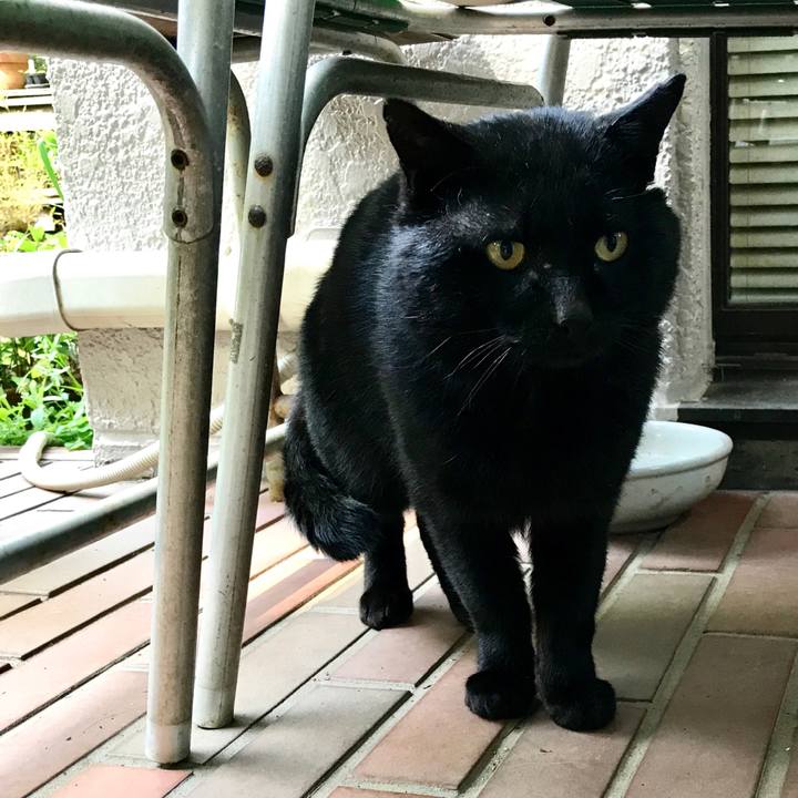 Ee9805a9 e0f8 4802 8de0 63d403effb8e