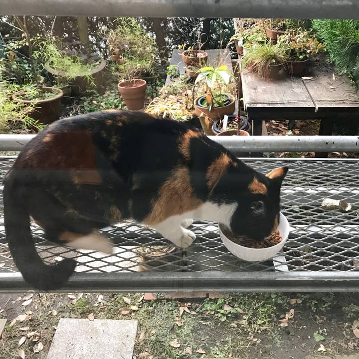 Ee99386c 1792 4646 a9fd 1ee54449aaac