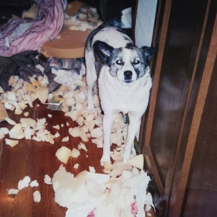 Ee9a470d 5c51 40ac beb7 3e6e4966f32e