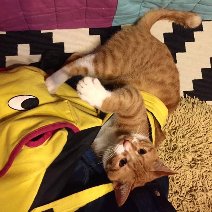 Ee9a4ba7 18f4 4671 b69f 195133aa6103