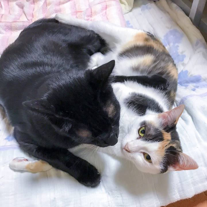 Ee9ac5fe 6ab3 4ae1 bc35 f1e0a6ec047f