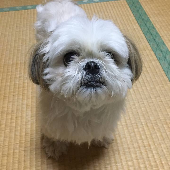 Ee9b65de 6129 43f7 b421 f18404864650