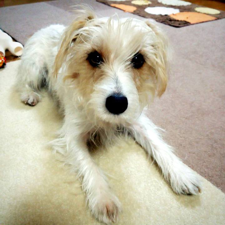 Ee9be10e 866c 4deb b5b1 3e739c630783