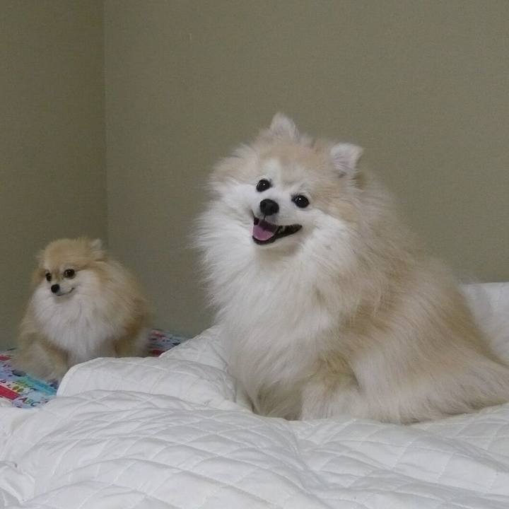 Ee9be3d9 0780 44c8 8a72 66a6e527294f