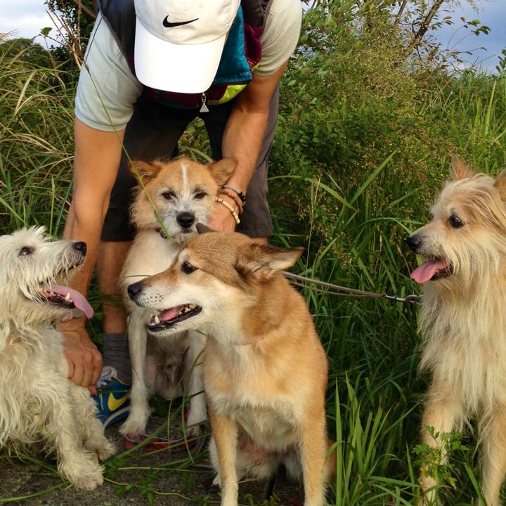 Ee9c07ae 1e9a 4513 b979 aa01bcae2eb4