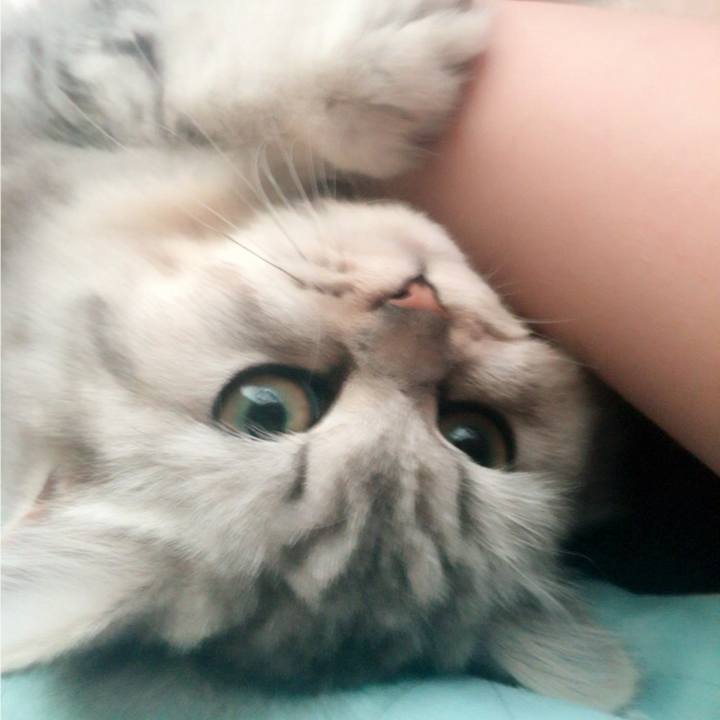 Ee9c2953 0387 414c 9c49 cf1ff8863462