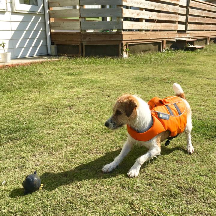 Ee9c9e16 1a04 4065 be49 a9e81b05822b