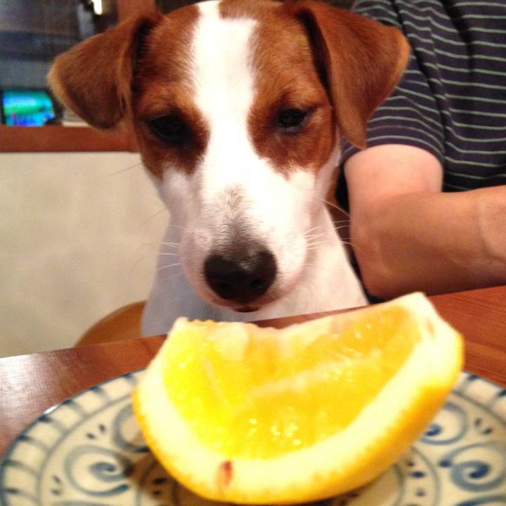 Ee9d84c0 9b51 4c80 8045 73e88e8025cc