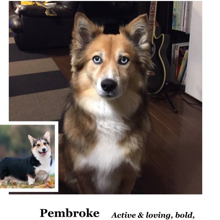 Ee9e17f0 59b6 4893 bf7c b6b1c13acfc4