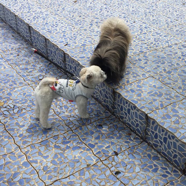 Ee9ebff5 cf4a 4568 bf9b 153f2414c3a7