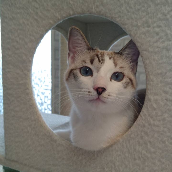 Ee9f1220 e652 4291 922c 7a8edd1e4f3c