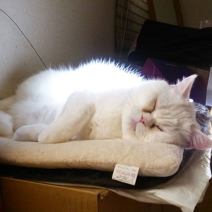 Ee9f18bc bd67 48eb 8c73 41326a57e000