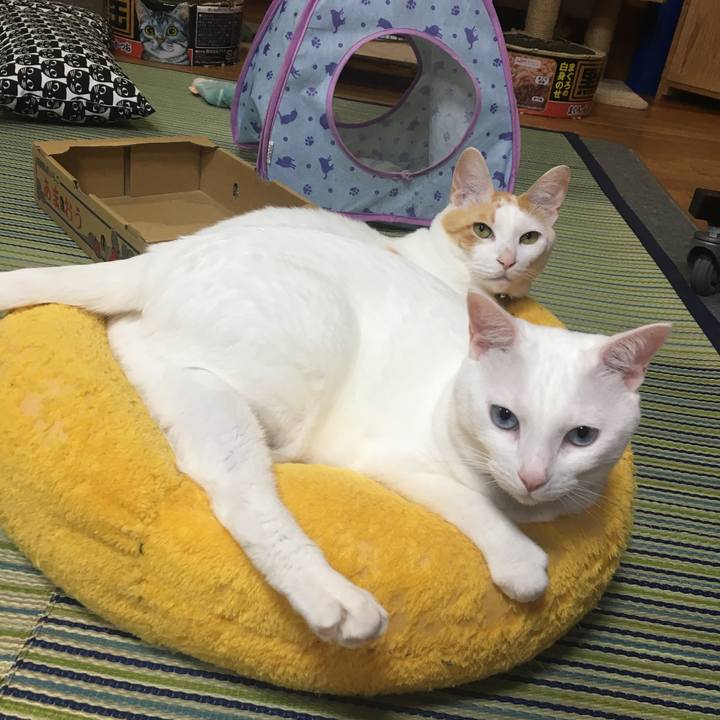 Ee9f20d2 ad87 40ac 8034 139f19d0dd7d