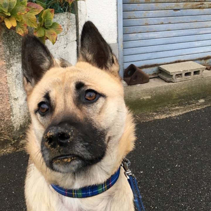 Ee9f46ef 3b56 41e9 acff 9685d4d092ed