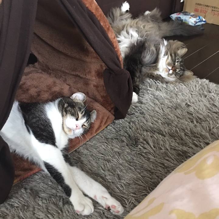 Ee9f7595 64dc 420f adf2 15319754907c