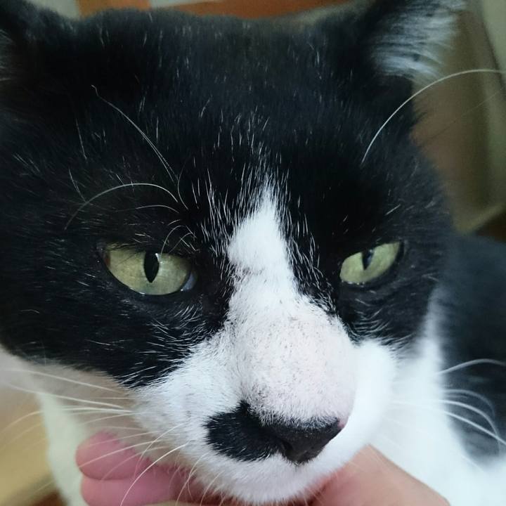 Ee9faf86 6031 4740 a3f2 eb1d7a461c50