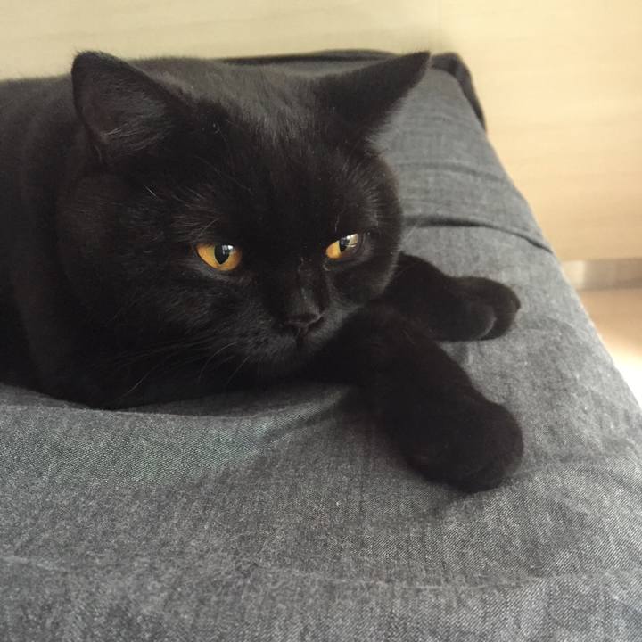 Eea035a3 bd87 40a0 be62 4e9b6cf86496