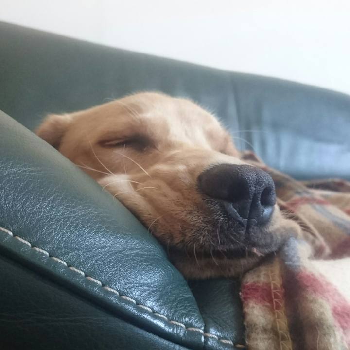 Eea27b3a f7b9 44a9 b9ef e754f69f14eb