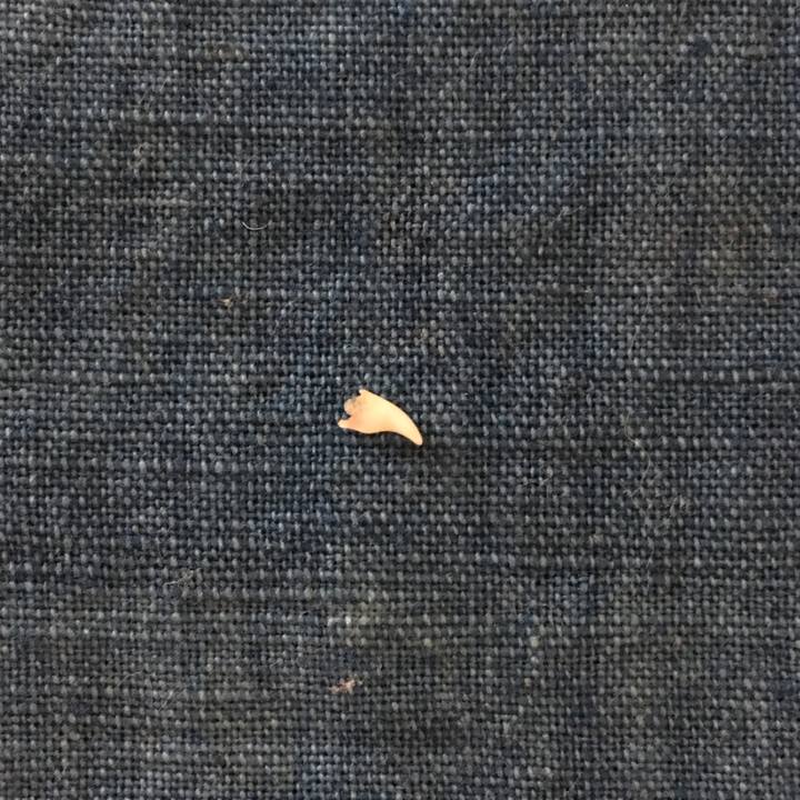 Eea3aafe a6df 4fd1 a455 26d3f1ce97c1