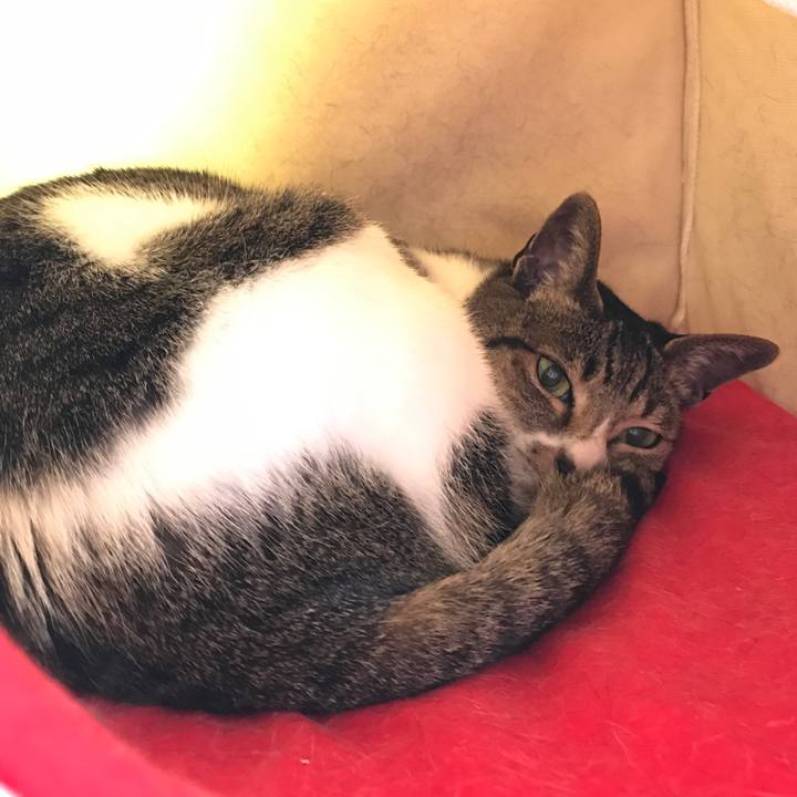 Eea3ef76 3350 4c8f a213 16b964be92c4