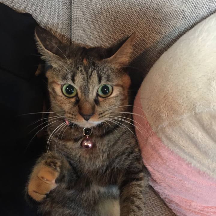 Eea4425f 9c39 41b7 b30d cc0aba4fef96