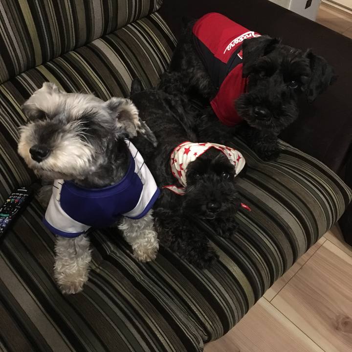 Eea686ab 1efb 4941 a9b0 fc27139d889e