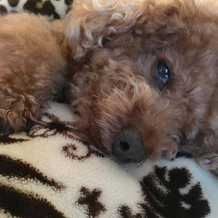 Eea7acc0 144d 46cd bd53 3607e277b913