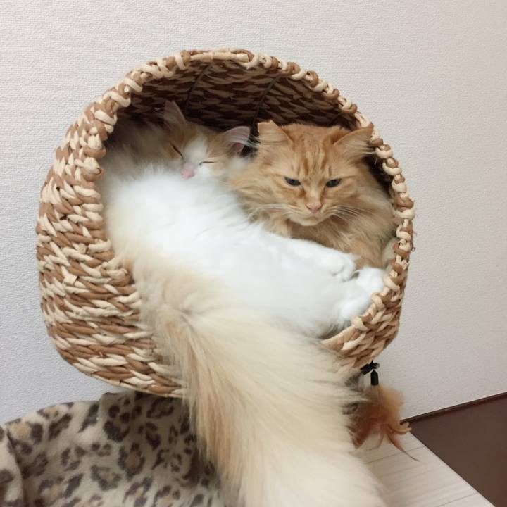 Eea7c5f8 b7ed 41c7 9915 e1cc50150df5