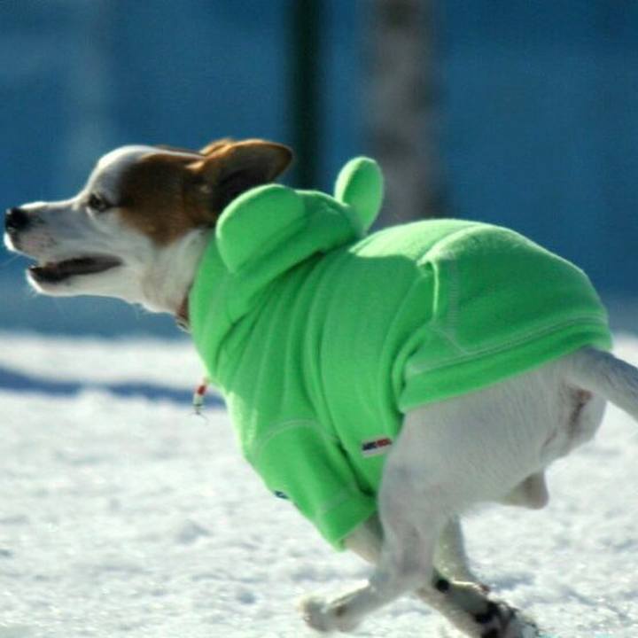 Eea8b093 6a4a 45ac 87cf 007f65b7c75e