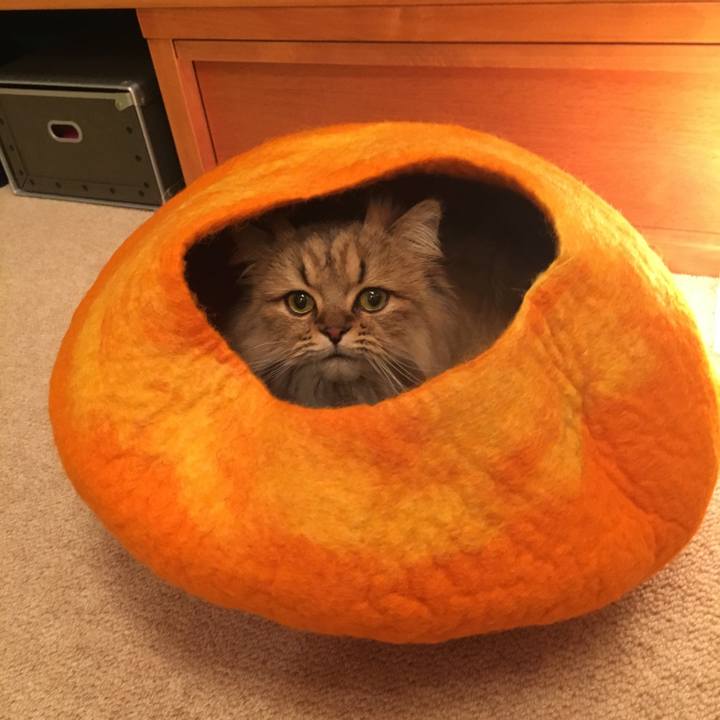 Eea8dc3b c08a 408d 80a9 a3a3619e5a70