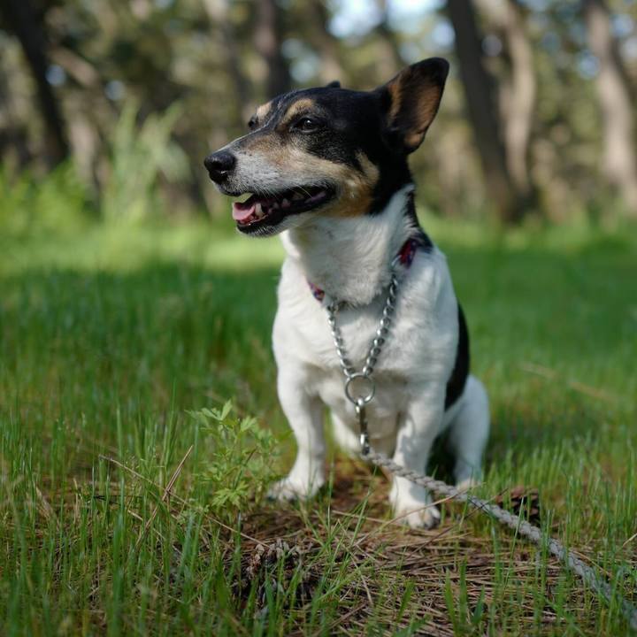 Eea8e026 d416 4a81 802f 5e32cd6265a4