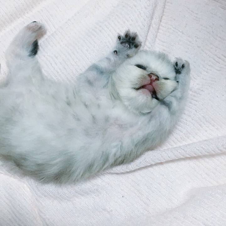 Eea8e50d c14e 4a38 bb0c 4685d9511a3f