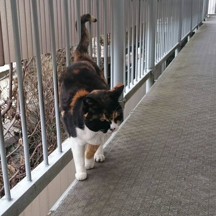 Eea93e58 d122 455b bf8a 9148fbcaad34