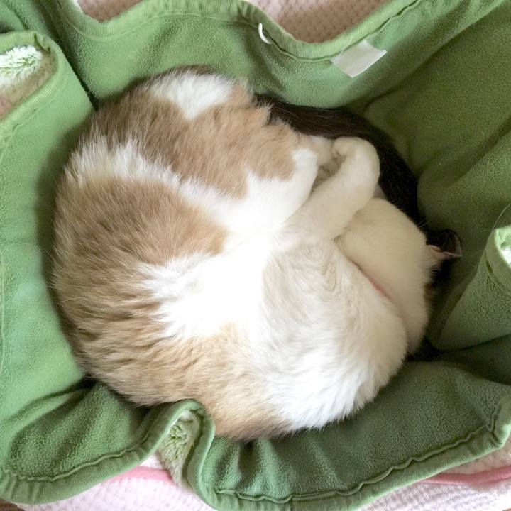 Eeaa20f6 3657 4652 b4ea 912f73ee520b