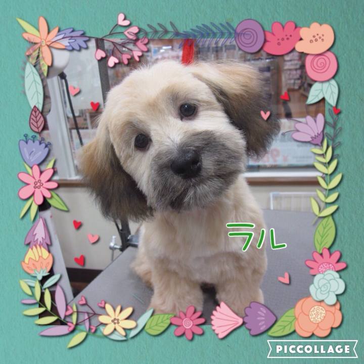 Eeaa5b78 b7c8 45c7 800e fe20e2786bfd