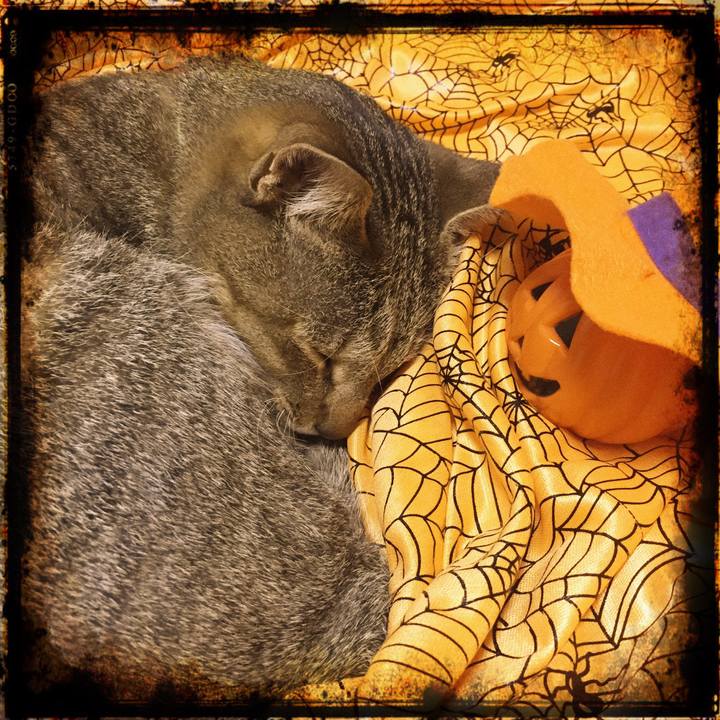 Eeaa8ca1 208f 40af 9cd7 5525f5aaaae5