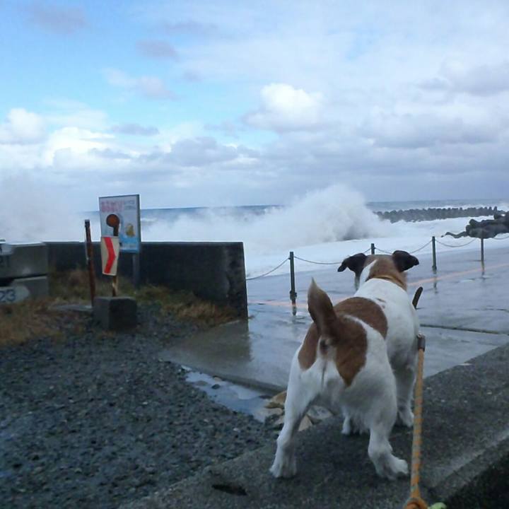 Eeaa9840 772b 4246 8774 74247c97fc15