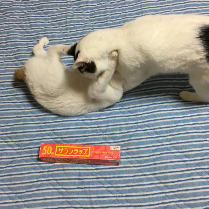 Eeab2ef5 0dc7 43b9 987d a7fa877599d3