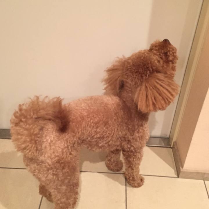 Eeac99d5 9eed 402b a4bb 8944e89ebaaa